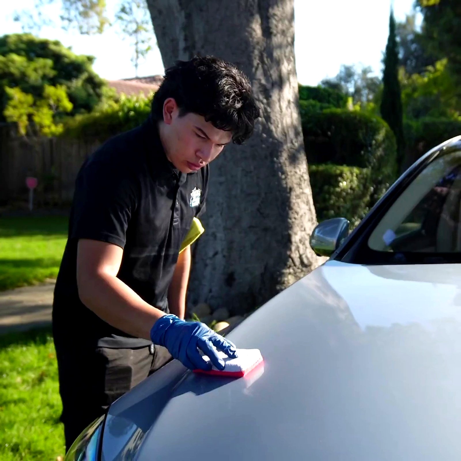 Car polish and shine